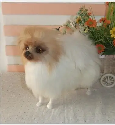 

WYZHY simulation animal simulation Bomei dog plush toy creative pet model photography window props children early education