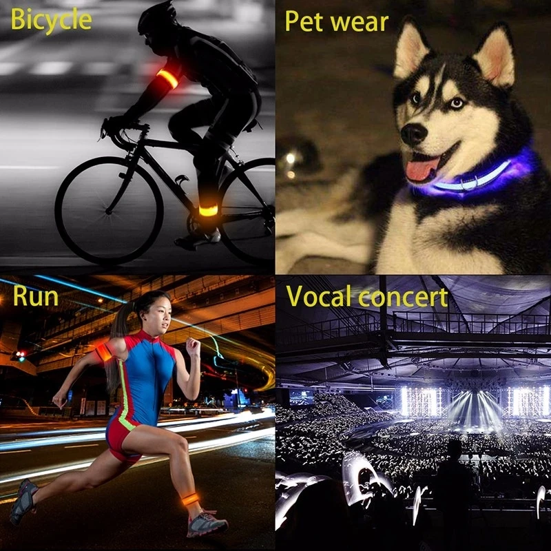 pet wear light.webp