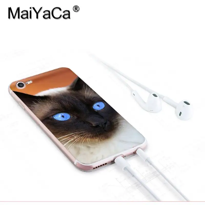 MaiYaCa для iphone 7 6 X Чехол для домашних животных сиамский Кот Прозрачный чехол для iphone 8 7 6 6S Plus X 10 5 5S SE 5C XS XR мобильный чехол - Цвет: 7