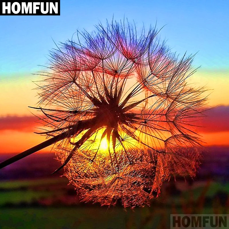 Алмазная 5D картина HOMFUN закат Одуванчик полноразмерная/круглая вышивка крестиком
