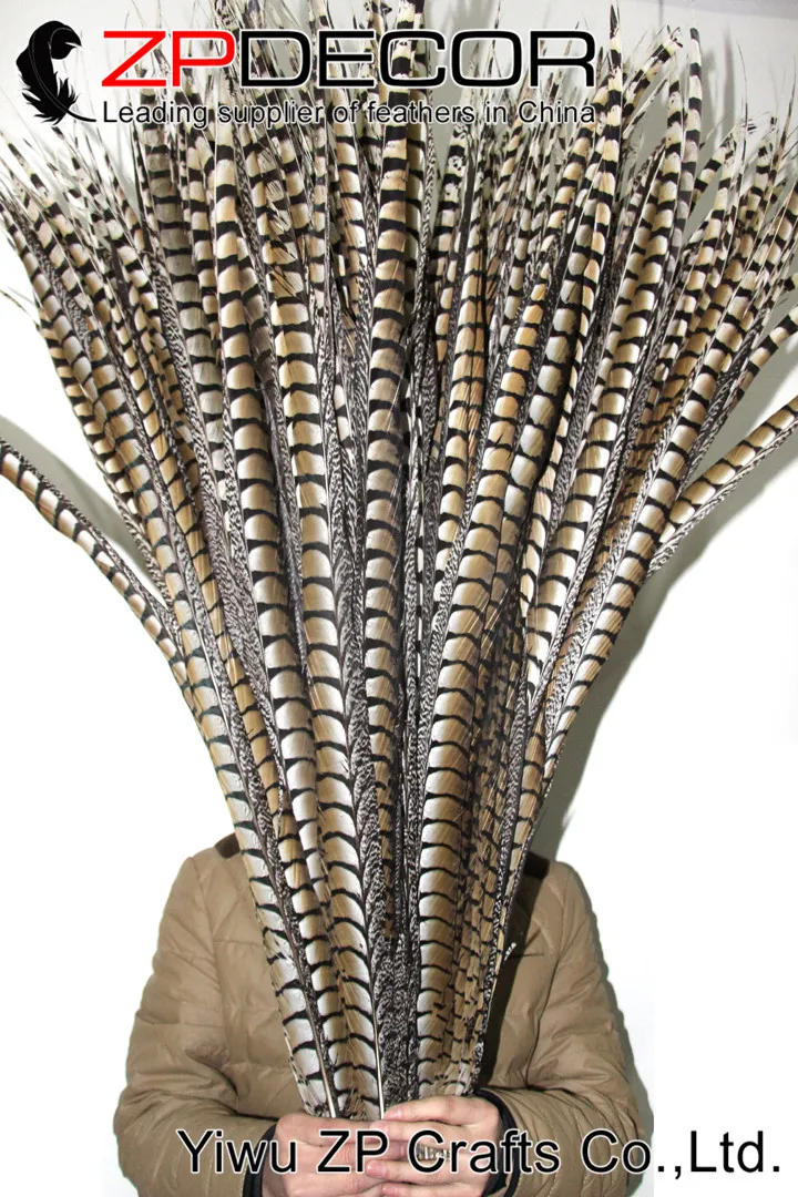 Zpdecor 32-36 дюймов(80-90 см) 50 шт./лот высокое качество натуральный длинный Алмазный фазан перья из хвоста фазана для карнавала шоу EMS бесплатно