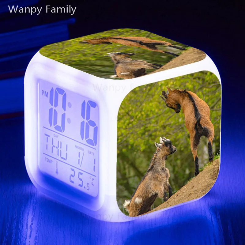 商标34