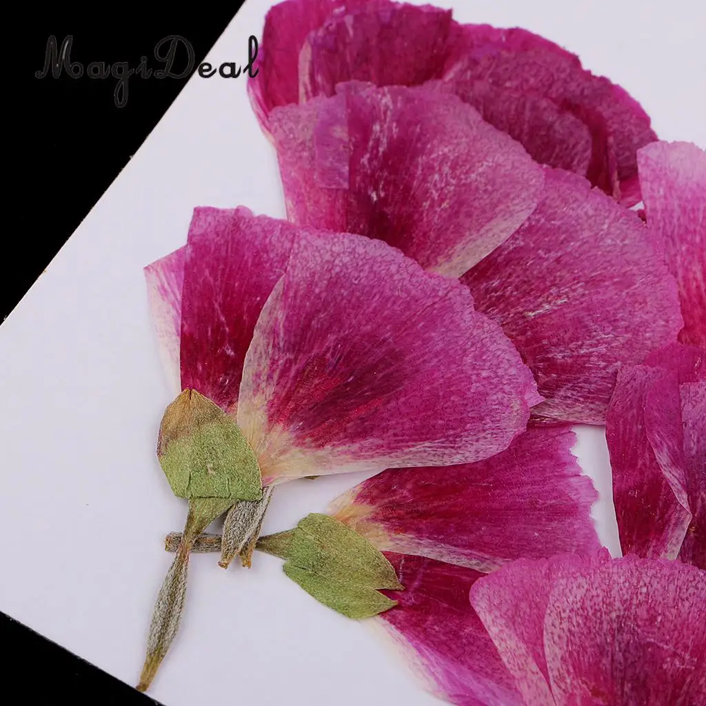 12pcs Beautiful Godetia Real Pressed Natural Dried Flowers for Art Craft Scrapbooking Card Making Resin Jewelry Making Craft DIY