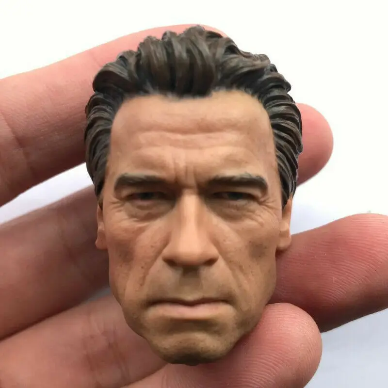 

Custom Old Arnold Head Sculpt T008 Terminator 1/6 Scale F 12" action figure toy