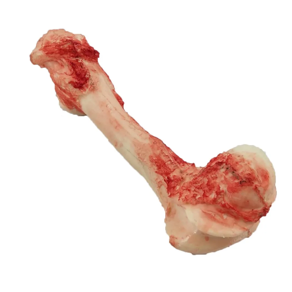 bloody bone prop.