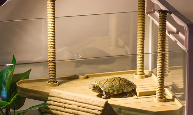 Черепаха остров скалолазание грелка платформа для черепах и лягушек плавучий остров Водные товары для животных рептилий аквариум для черепах украшение для аквариума