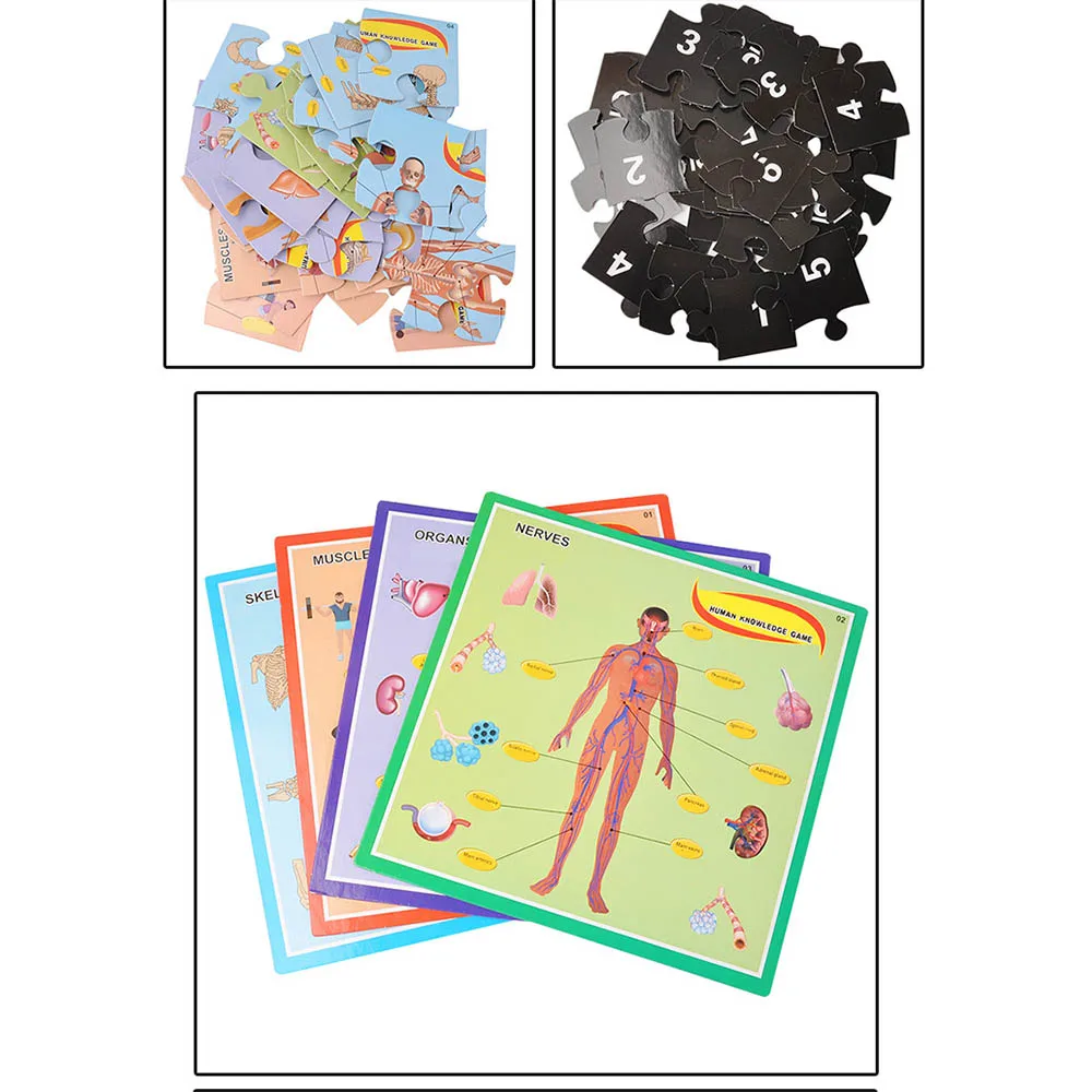 DIY 3D человеческое тело структура пазлы, настольная игра бумага головоломки пол головоломки Развивающие игрушки для детей 1-4 игроков