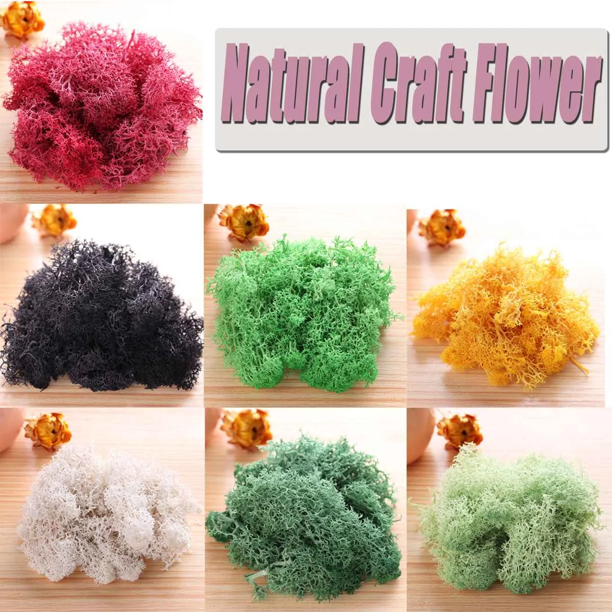 

Natural Norwegian Reindeer Moss Preserved Dried Craft Flower Artificial Decorations Artificial & Dried Flowers