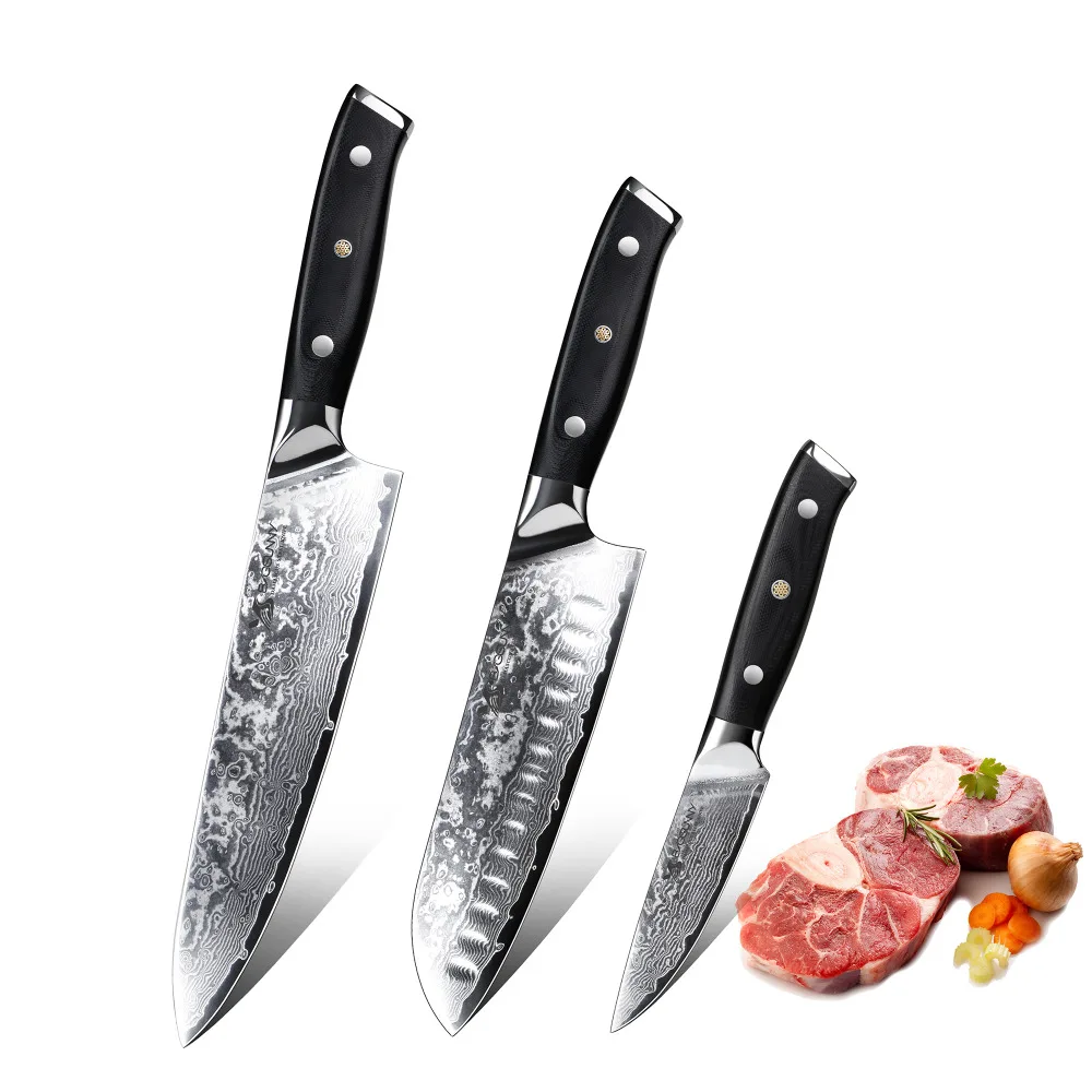 

BIGSUNNY 3pcs Kitchen Knives Set 67 Layers Damascus Steel Chef Santoku Paring Knife G10 Handle, Extra Sharp Corrosion-Resistant