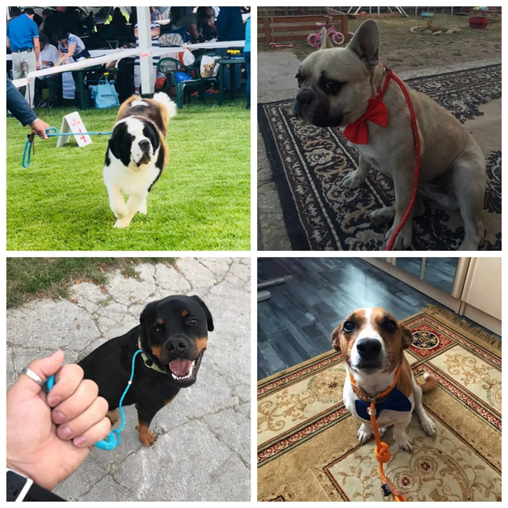 Pet Products Dog Leash Nylon Reflective Puppy Dog Leash Rope Cat Chihuahua Pet Leash And Collar Set Cat Dog Leashes Lead Harness (38)