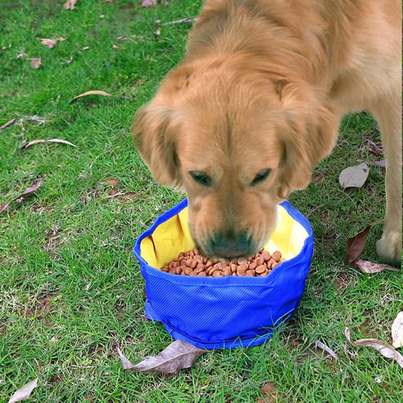 Oxford-Waterproof-Collapsible-Food-Bag-Dog-Feeders-Travel-Bowls-Water-Food-Storage-Bag-Pet-Snack-Tray-Drink-Portable-Bowl-PL0010 (5)