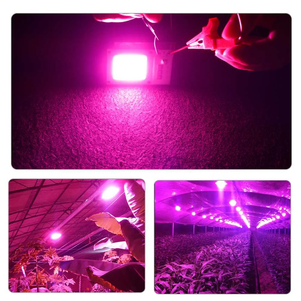CLAITE 10 Вт 20 Вт 30 Вт лампы для выращивания полный спектр 380-840NM растительный светильник светодиодный COB Чип для овощей цветок AC180-265V