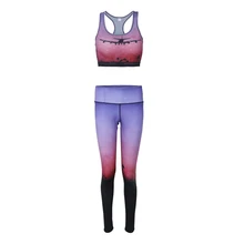 HOT Fitness Female Gym Trousers Clothes Yoga Tracksuit Sportswear Clothing Yoga Suits Set 3D Print Vest+Pants For Body Building