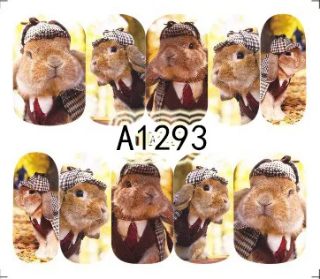 A1293