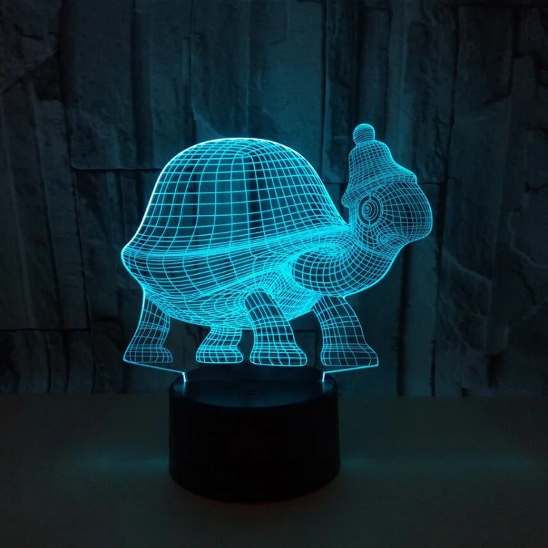 Tortoise5