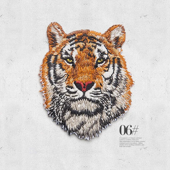 06
