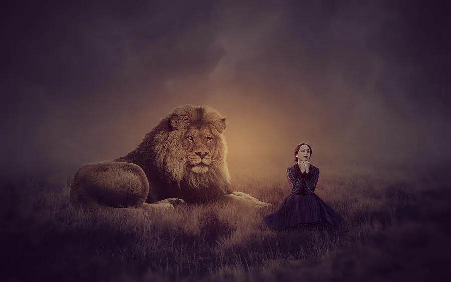 A Lion In Your Living Room A Lion In Your Living Room