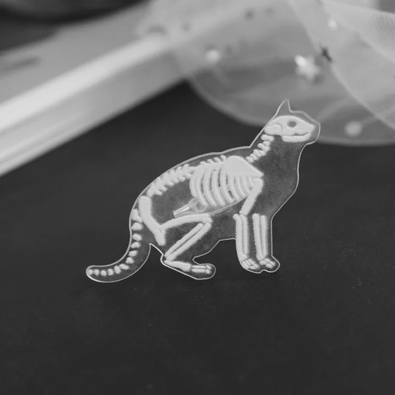

Creative Transparent Acrylic Animal Skeleton Pins Brooch Mouse Rabbit Bird Pig Cat Brooch For Bag Clothes