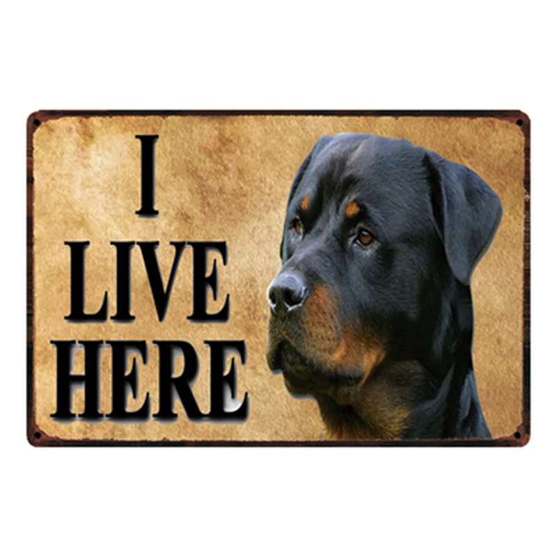 [ Kelly66 ] Dogs I Live Here Metal Sign Tin Poster Home Decor Bar Wall Art Painting 20*30 CM Size y-2115 | Дом и сад