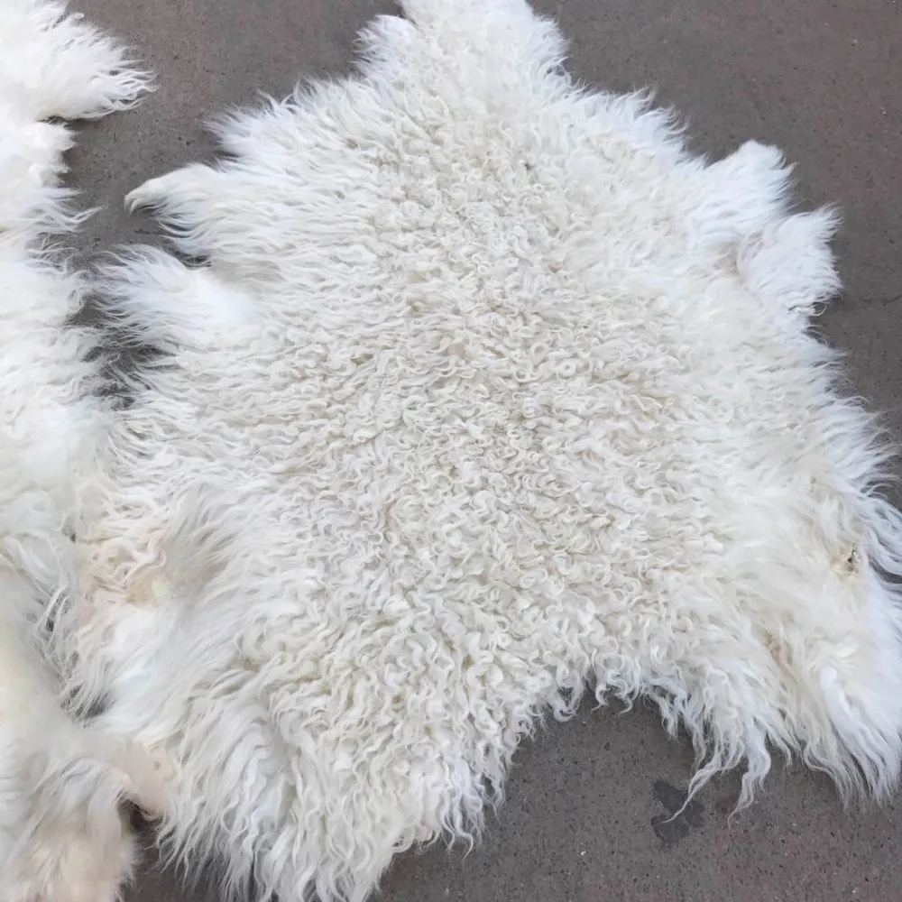 Buy Short Curly Hair Little Lamb Fur / Kalgan Lamb Fur