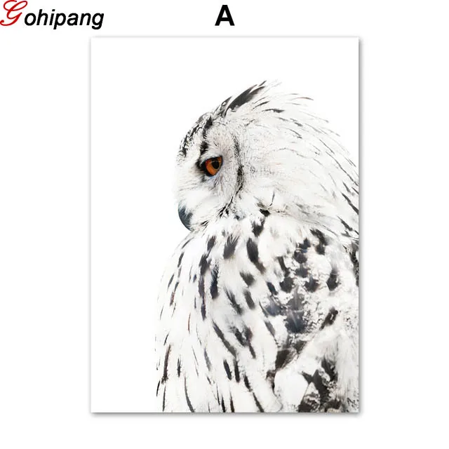 03 (4)