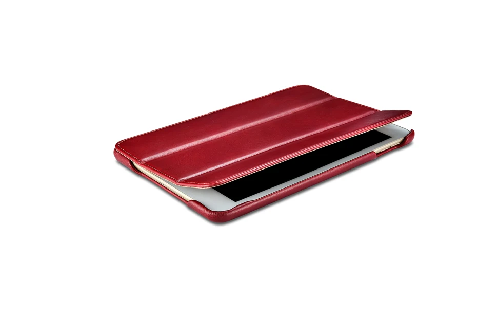 iPad mini 5  Vintage Series(2019)-023