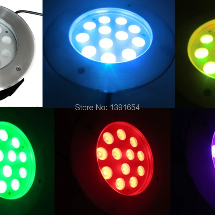 inground light398.jpg