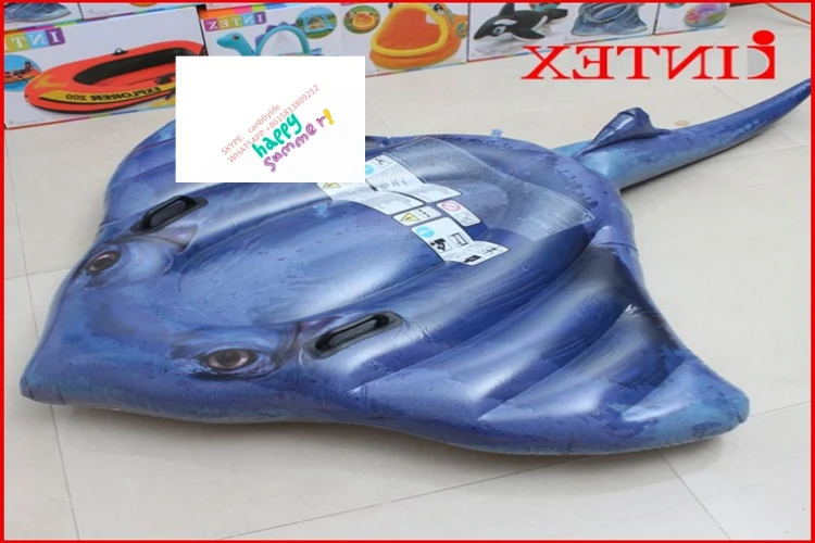 stingray pool float