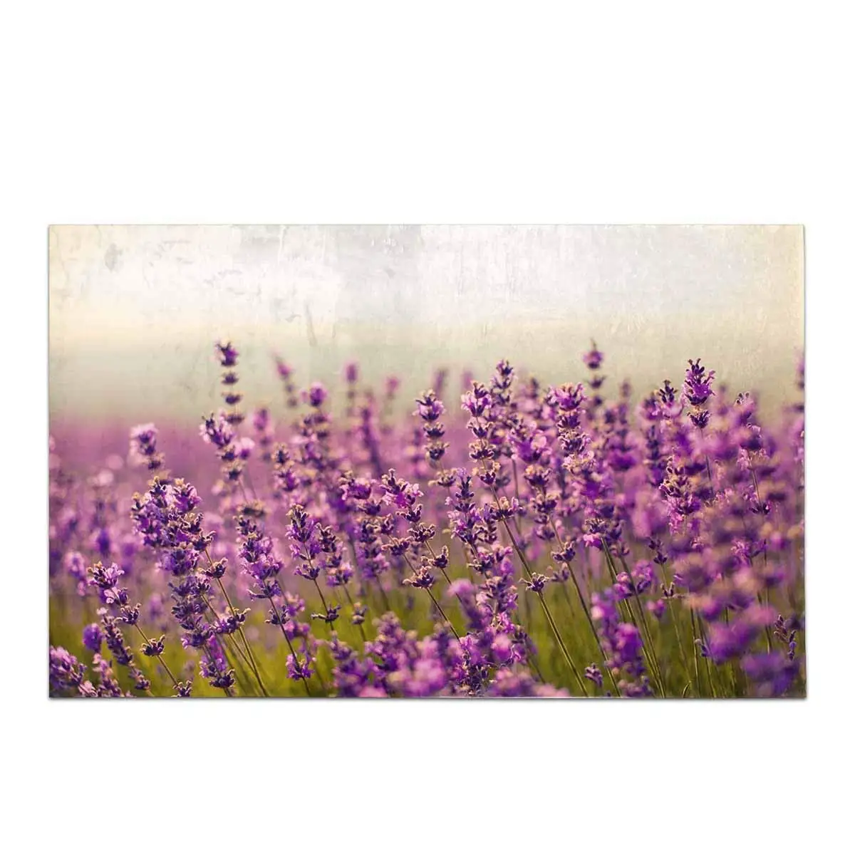 Фиолетовый Лавандовый цветы в поле мягкий мохнатый коврик для ванной Нескользящий Резиновый коврик для ванной комнаты коврики