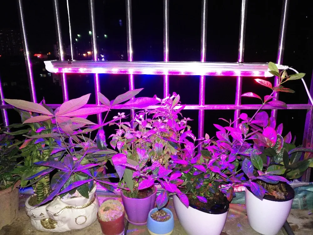 ReBlue 12W Led grow light Led Lamps for plants T8 Aquarium lamp Red 660nm blue 450nm Led Bulbs Seedling for grow tent greenhouse