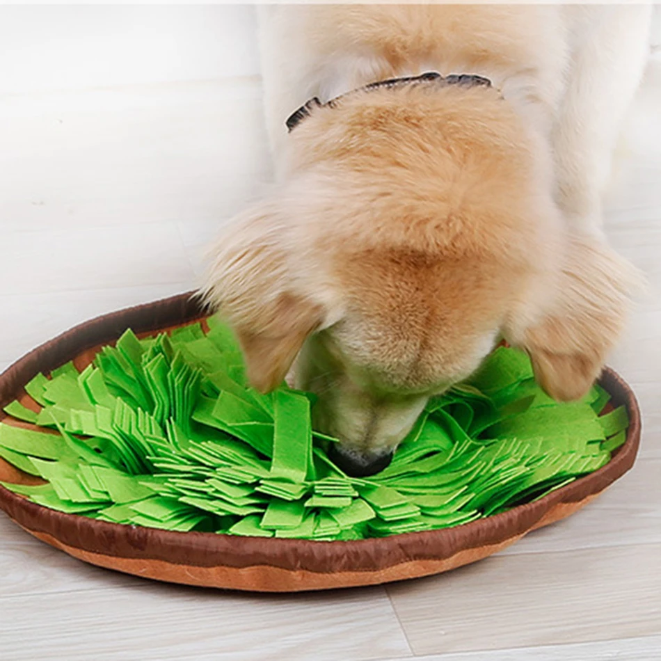 Собака медленное кормление чаша собака поиск обучение медленное питание кормушка пахнущие навыки потребляют энергию интерактивная игрушка для питомцев