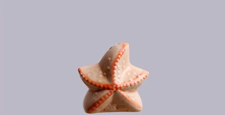 Свадебные сувениры пляжный стиль Seashell и морская звезда Соль и перец шейкеры вечерние подарки 100 шт = 50 Набор