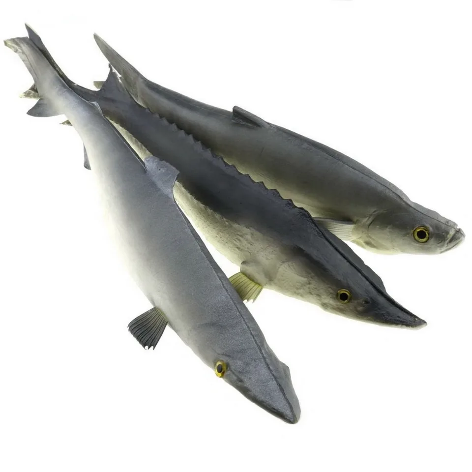 Chinese Sturgeon Tilapia Figure Fish Animal Model Collector Decor Kids Toy Gift
