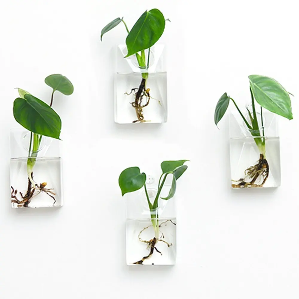 Упаковка из 4 настенных подвесных кашпо, подвесные стеклянные ...