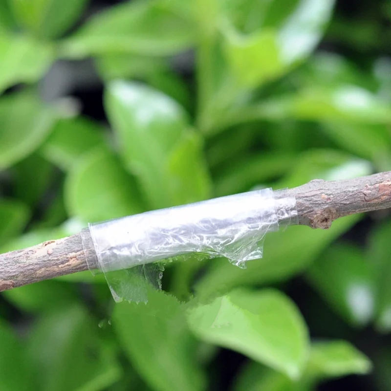 100pcs! Seedlings Grafted Branches Clip Flower Seedlings In Plastic Connecting Parts Arts Grafted Nursery Accessories 100pcs! Seedlings Grafted Branches Clip Flower Seedlings In Plastic Connecting Parts Arts Grafted Nursery Accessories