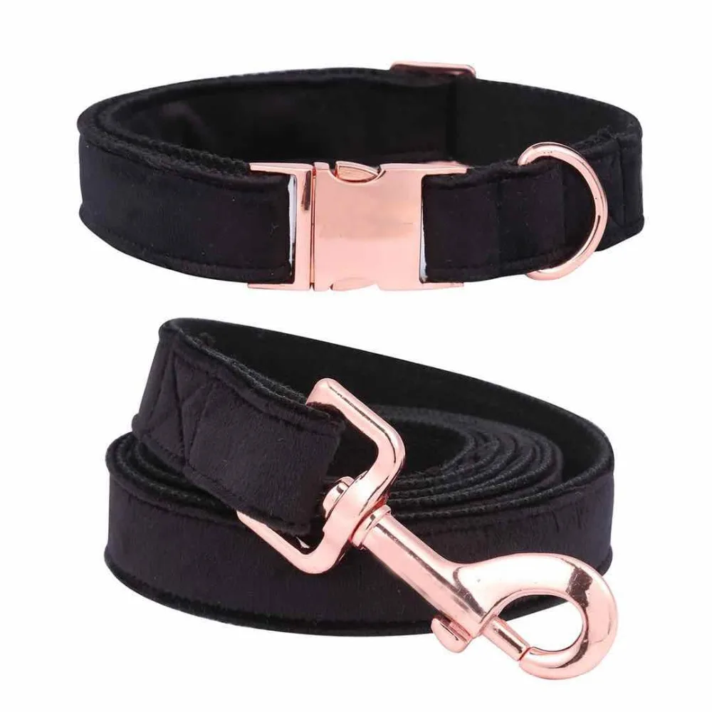 Dog Collar and Leash Set