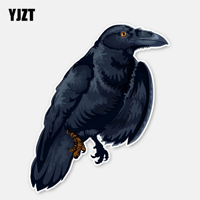 

YJZT 13.7*16.6CM Creative Crow Graphic Car Sticker Bumper Car Window Decor Personalized 11A0387