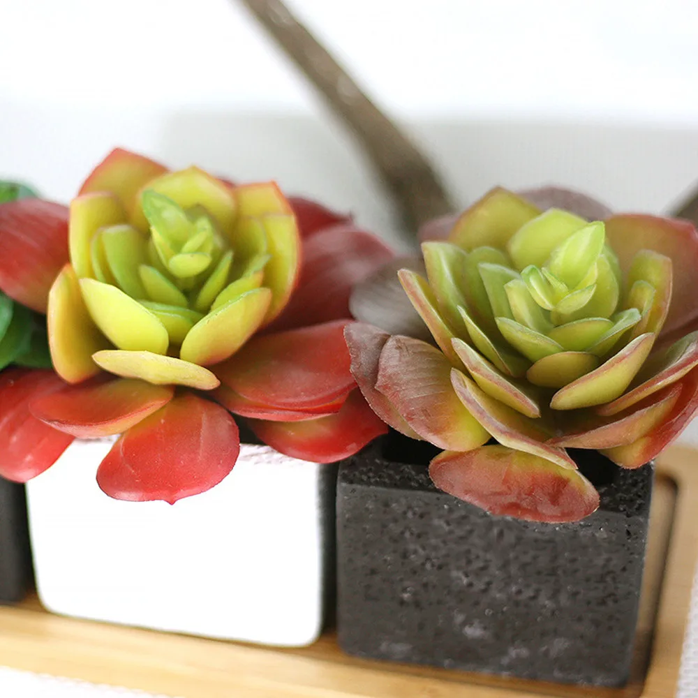 Artifical Plastic Succulent Plant Cactus Echeveria Flower Home Office Decor Gift Hot Sale