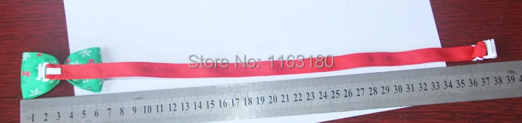 1741237612_346002638