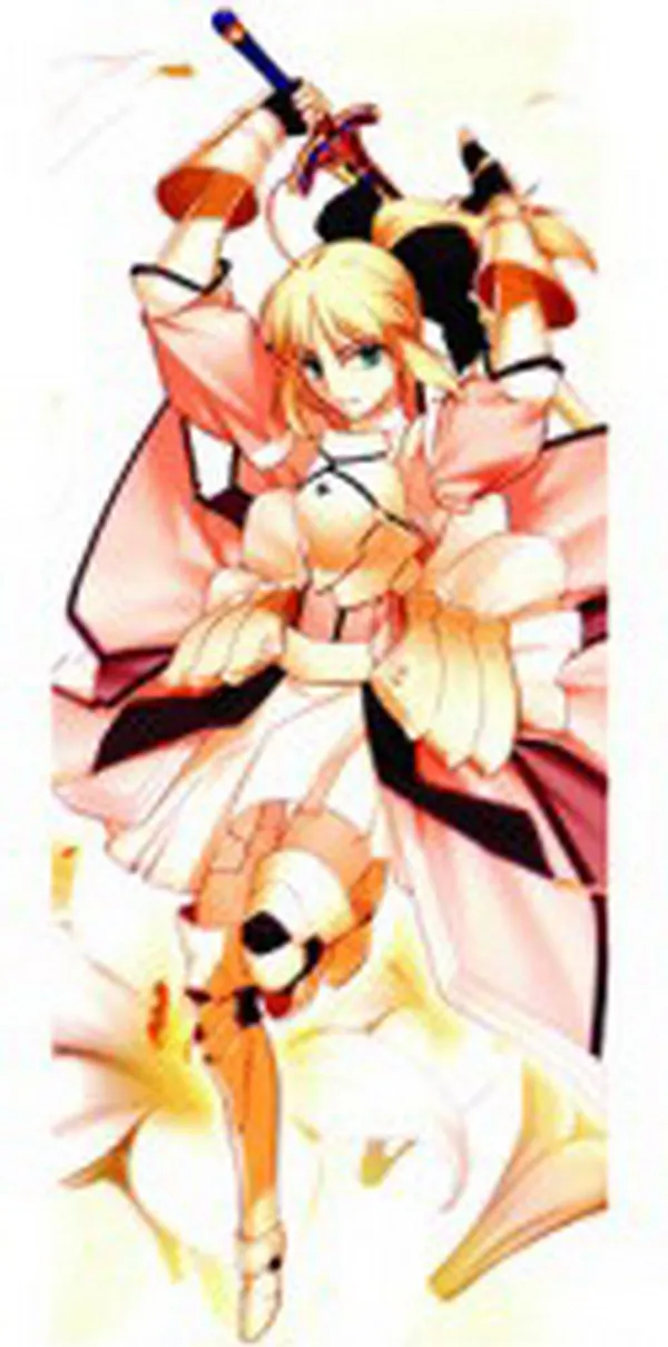 Fate/Stay Night Аниме сабля 150*50 см полиэфирная односторонняя длинные обниматься тела