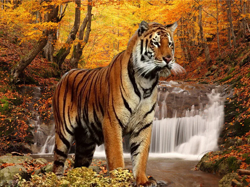 

5D Diamond embroidery tiger diamond cross stitch Square diamond painting diy diamond painting animal