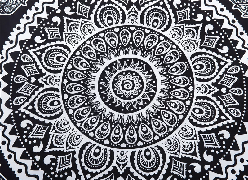 3623232515_1177752753