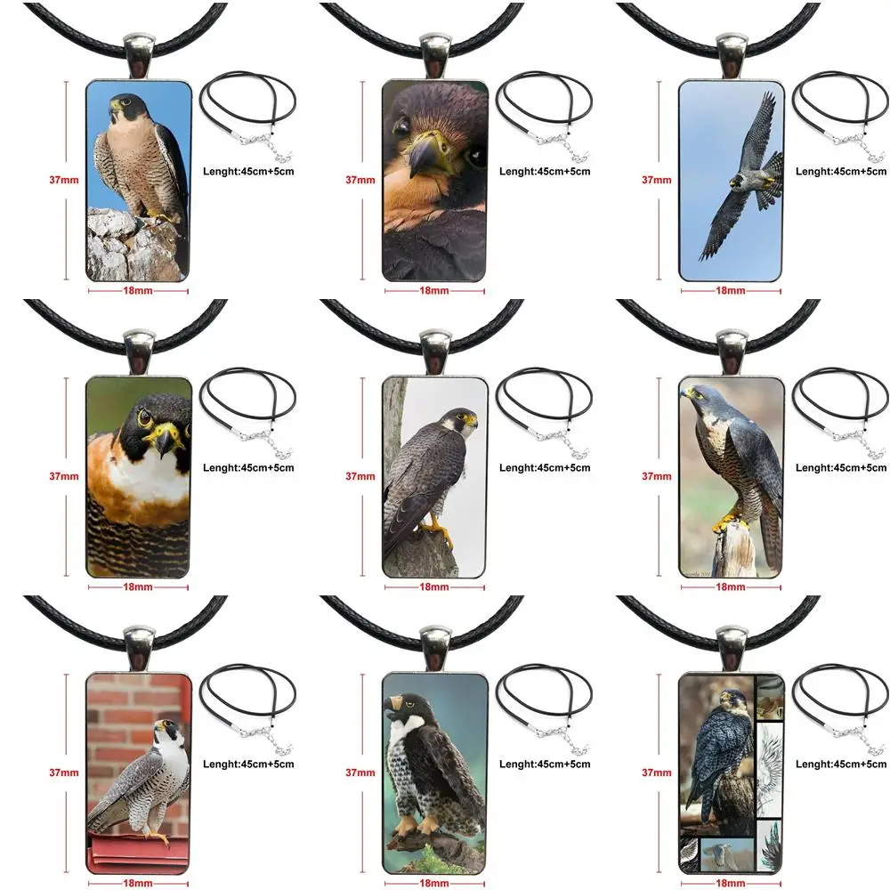 For Women Men Peregrine Falcon The Fastest Animal Fashion