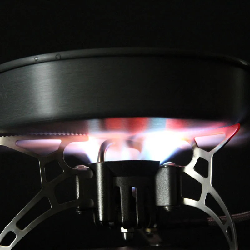 

Portable Camping Stove Oil/ Gas Multi-Use Gasoline Burner 1000ml Cooker Useful