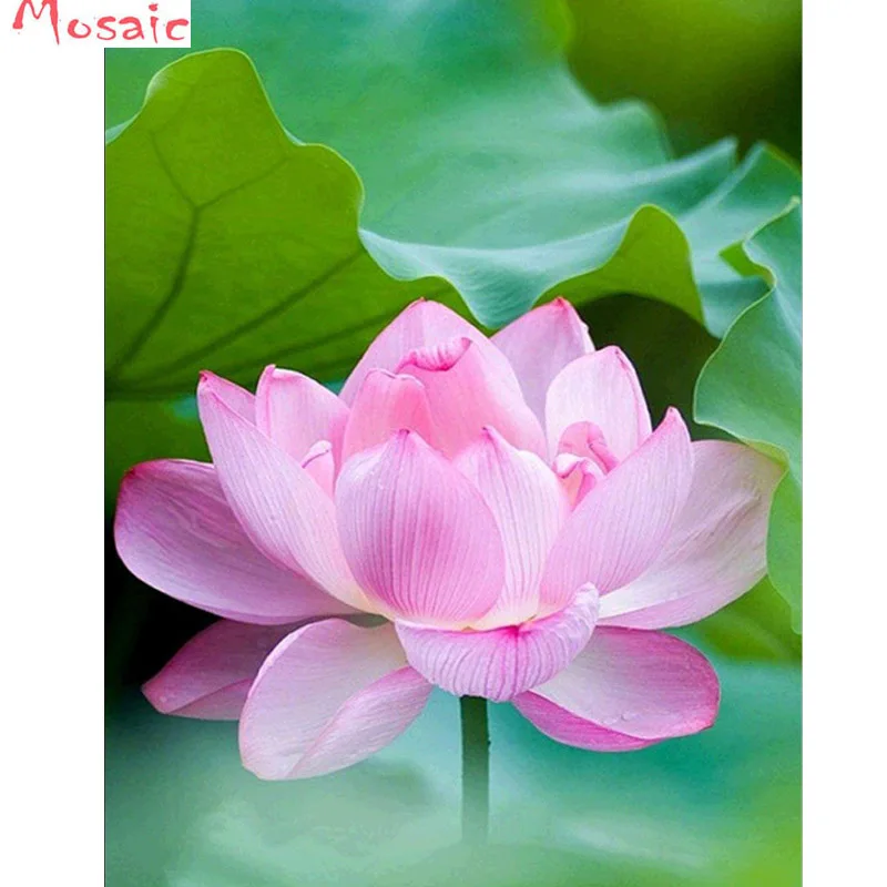 

DIY 5D Diamond Painting by Number Kit, Lotus Flower Square Diamond Embroidery Cross Stitch Arts Craft Supply Canvas Wall Decor