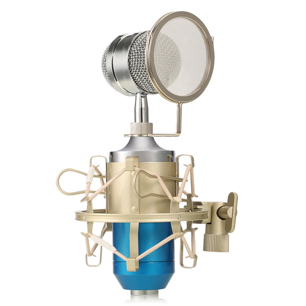 LEIHAO BM 8000 Professional Sound Studio Recording Condenser Microphone