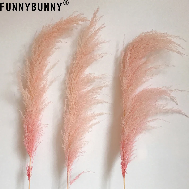 FUNNYBUNNY 1 шт. розовый тростниковый тростник сушеный цветок шипы сушеные цветы