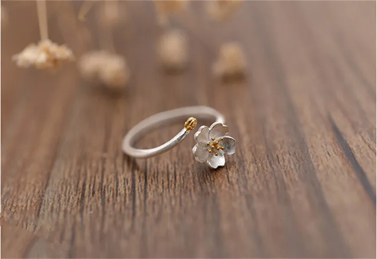 4757629427_902822302