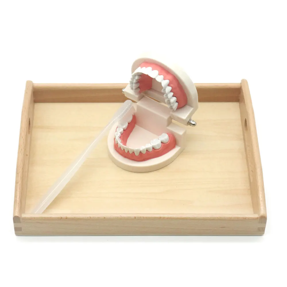 new-teeth-11