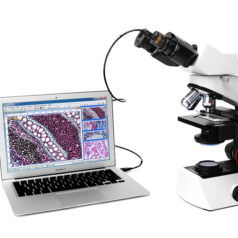 Nueva llegada 5 MP USB Video cámara CCD biológico estéreo microscopio captura de imagen industrial